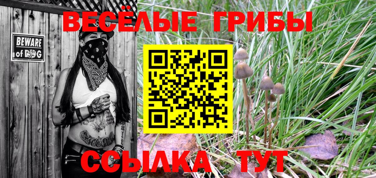 Советская Гавань  Псилоцибиновые грибы Magic Shrooms  Псилоцибиновые грибы мицелий  Вход с VPN 