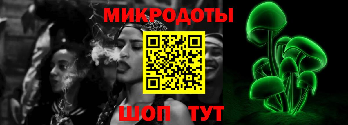 Псилоцибиновые грибы ЛСД Советская Гавань